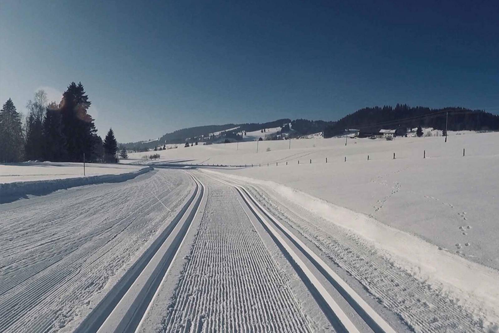 Bild einer Langlaufloipe bei strahlendem Sonnenschein