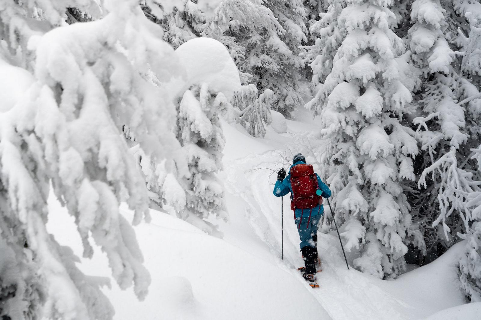 Ein Schneeschuhwanderer wandert durch einen tief verschneiten Wald