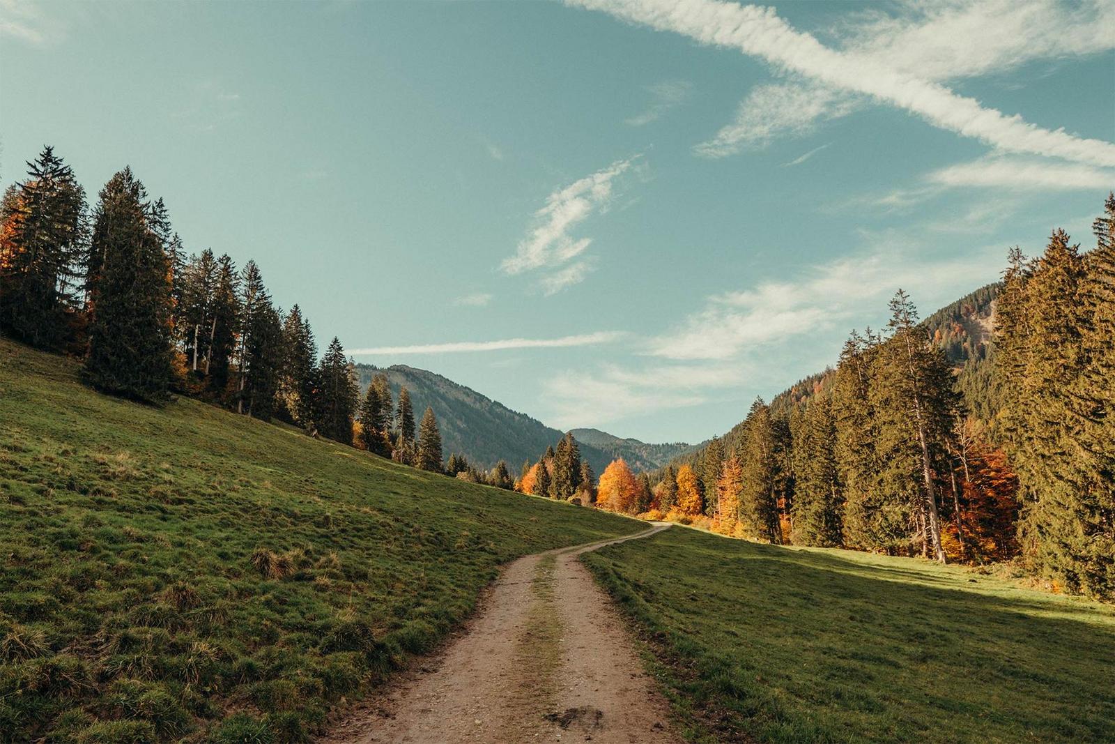 Blick auf einen herbstlich umrahmten Wanderweg mit blauem Himmel
