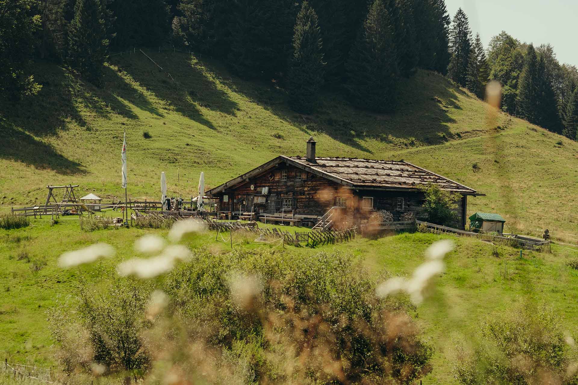 Eine allgäuer Alpe umrahmt von grünen Wiesen im Sonnenschein
